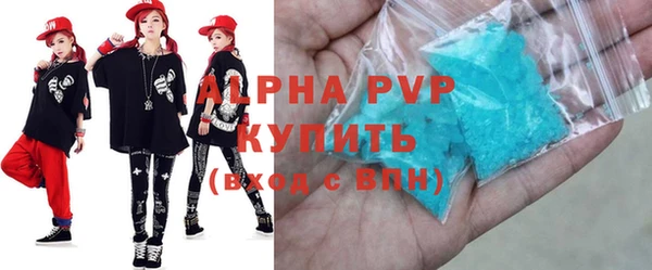 гашик Краснослободск